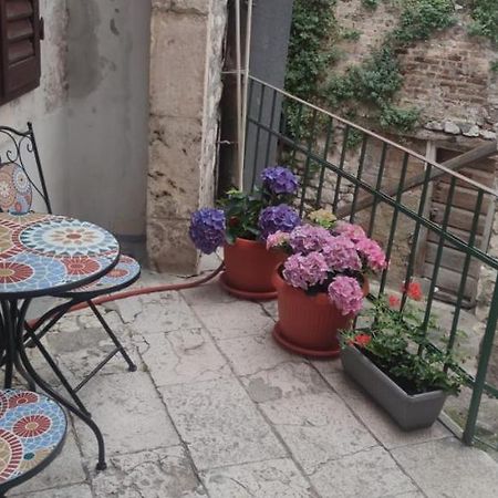 Apartman Zen In The Centar Of Šibenik Eksteriør bilde