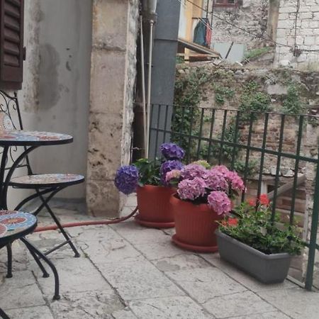 Apartman Zen In The Centar Of Šibenik Eksteriør bilde